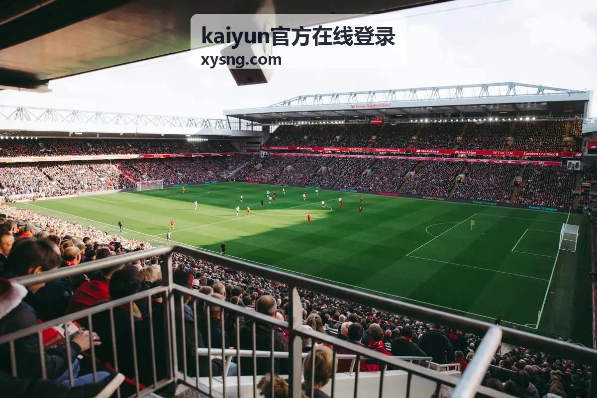 kaiyun官方在线登录 账号安全与验证页面封面