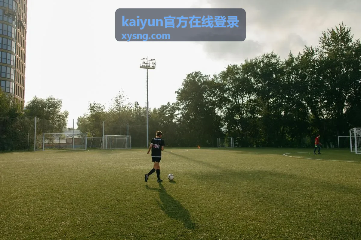 kaiyun官方在线登录 密码找回流程页面封面